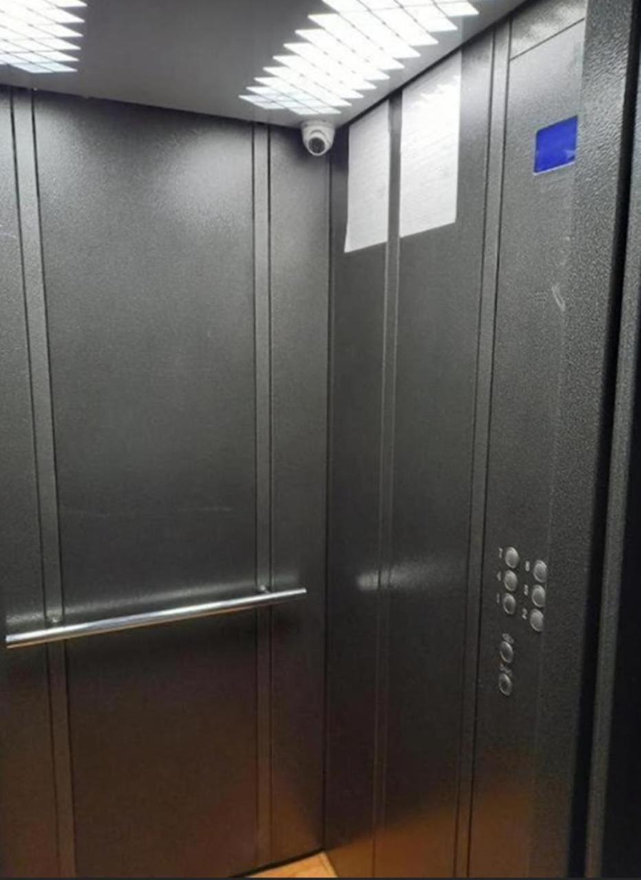 яркая звезда Apartment